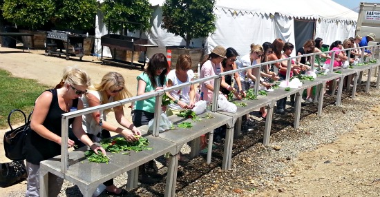 Produce station TreeTop bloggers visit Tanaka Farms