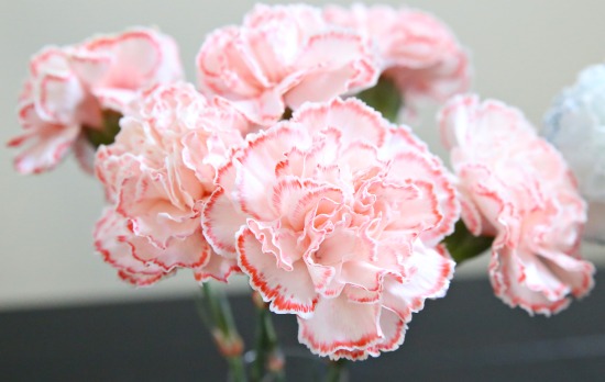 Spring bouquet with white flowers and food coloring.jpg